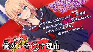 アダルトアニメ「 俺が姪（かのじょ）を○す理由（わけ） The Motion Anime」を制作したメーカーは？のサムネイル画像