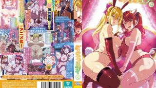 アダルトアニメ「 OVAシスターブリーダー #3」を制作したメーカーは?のアイキャッチ画像